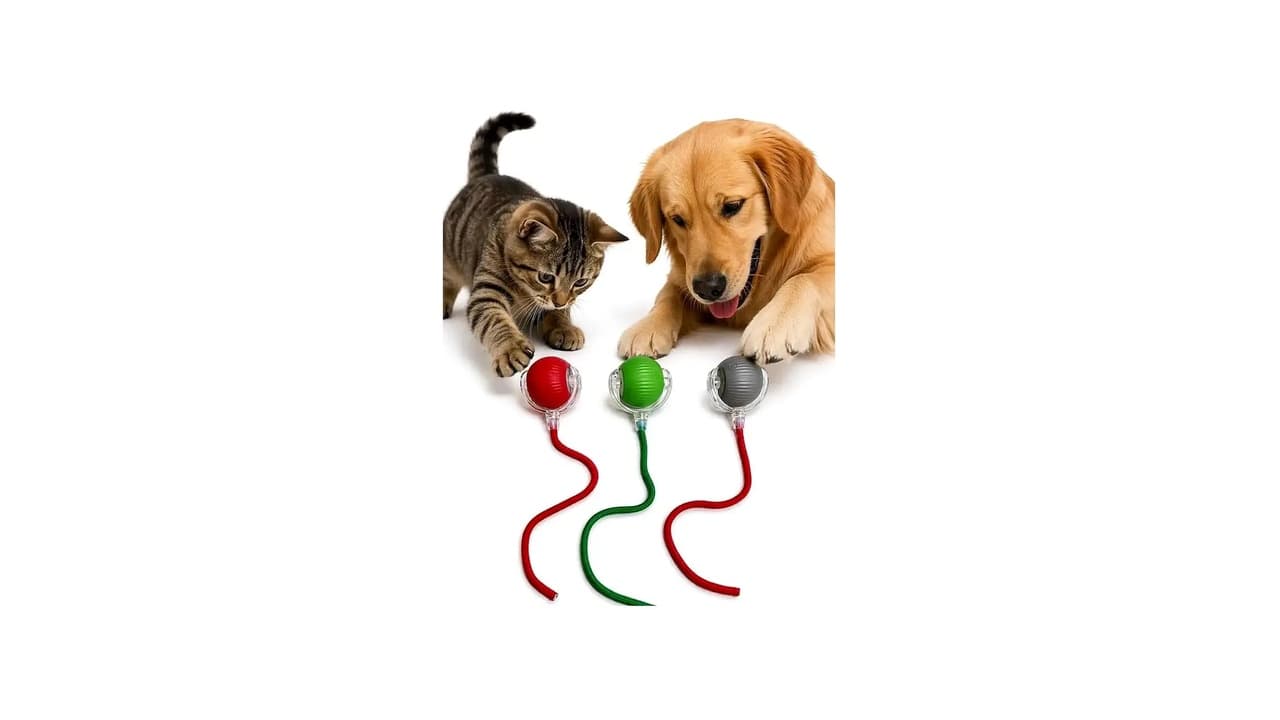Melhor Brinquedos para Cachorro que Fica Sozinho: 10 Opções para Aliviar Ansiedade e Tédio