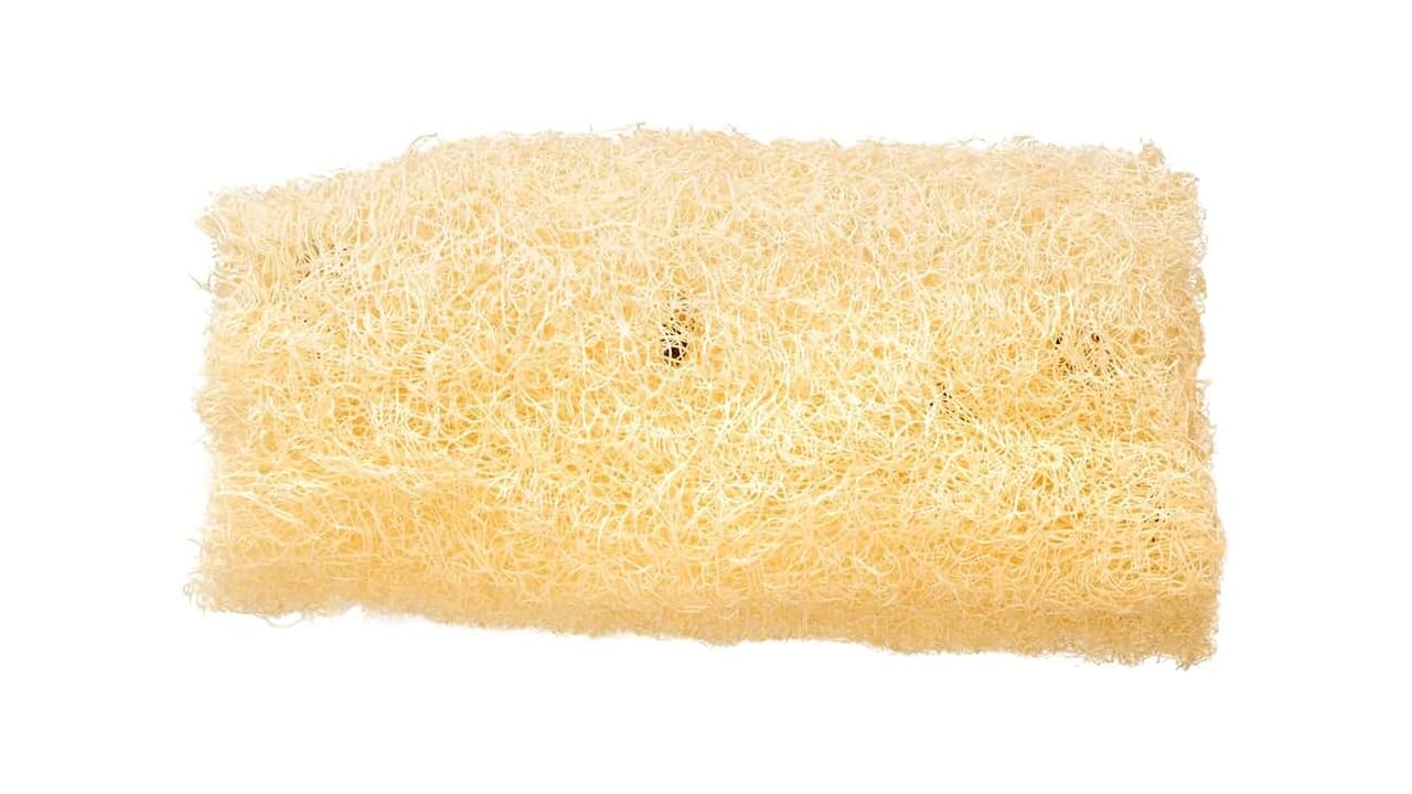 Melhor Bucha de Banho: Guia para Escolher a Ideal