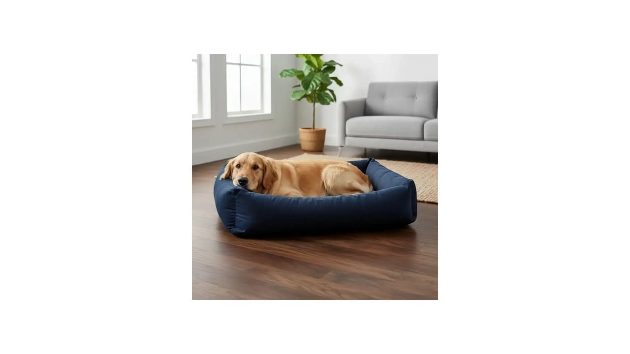 Melhor Cama para Cachorro Grande Lavável: Top 8 Modelos Resistentes e Confortáveis