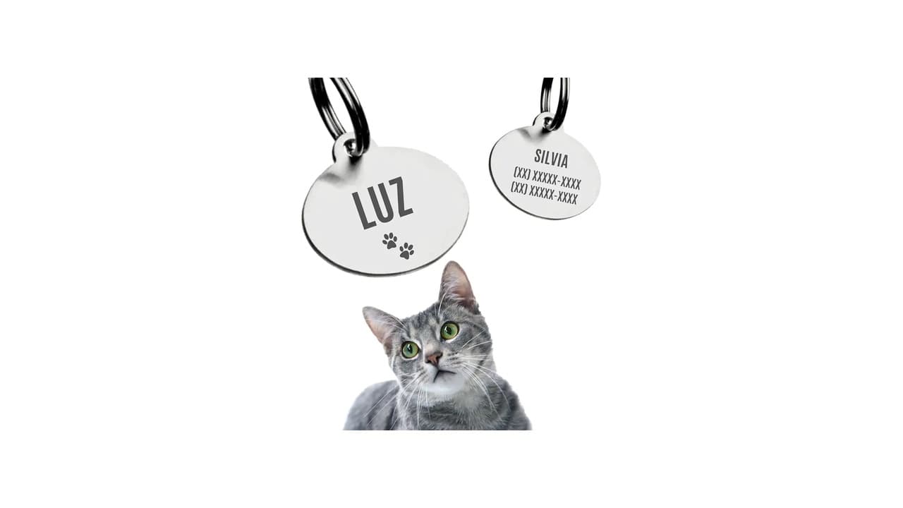 Melhor Coleira com Plaquinha de Identificação Personalizada: Guia Completo para Escolher