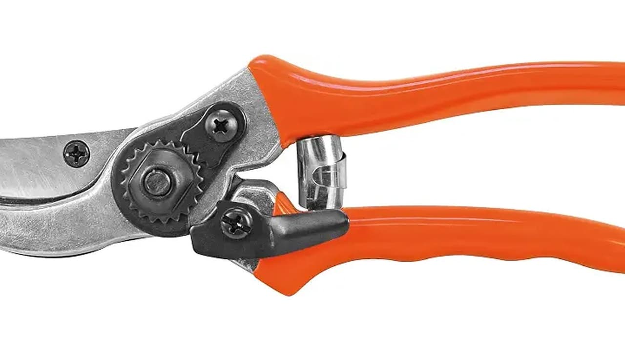 Melhor Marca de Tesoura de Poda: Guia Completo