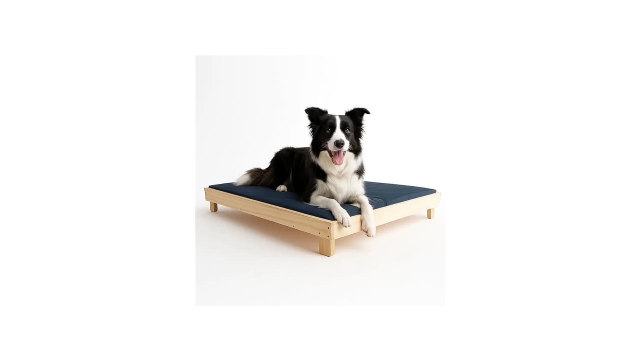 Melhor Tipo de Cama para Cachorro: Conforto e Estilo