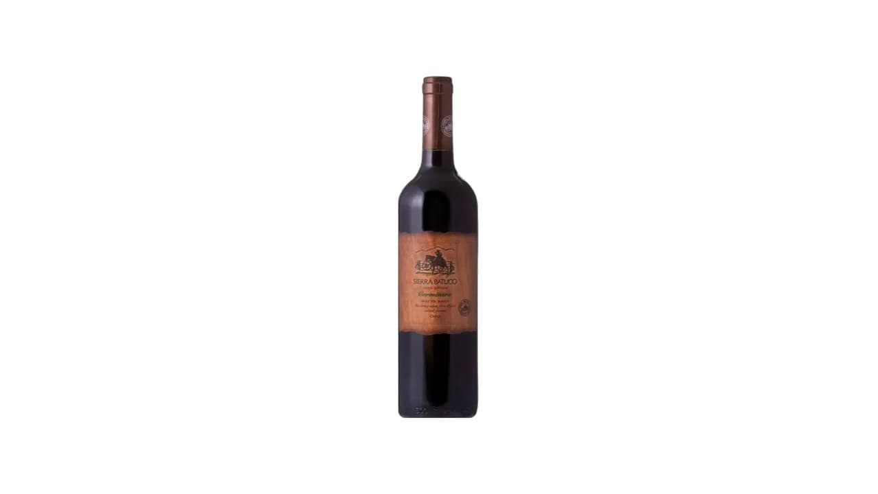 Melhor Vinho Chileno Carménère: 15 Opções Premiadas