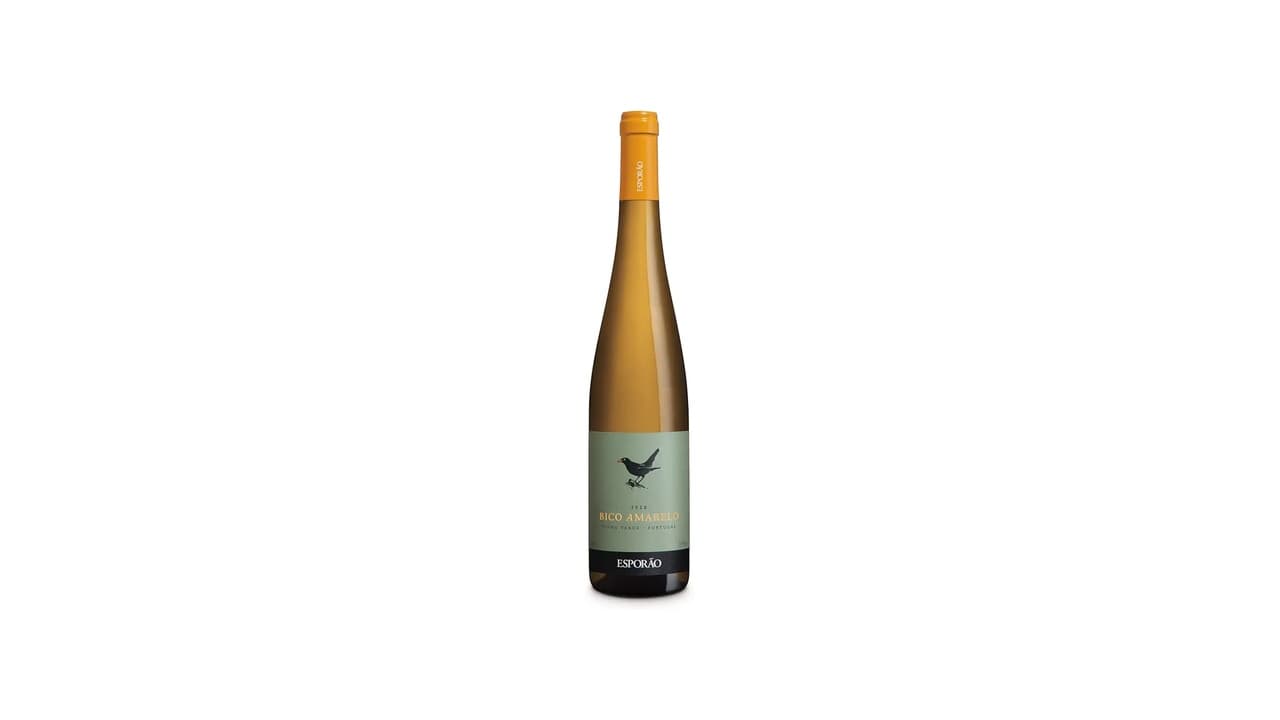 Melhor Vinhos até 100 Reais: Top 10 Opções Premium