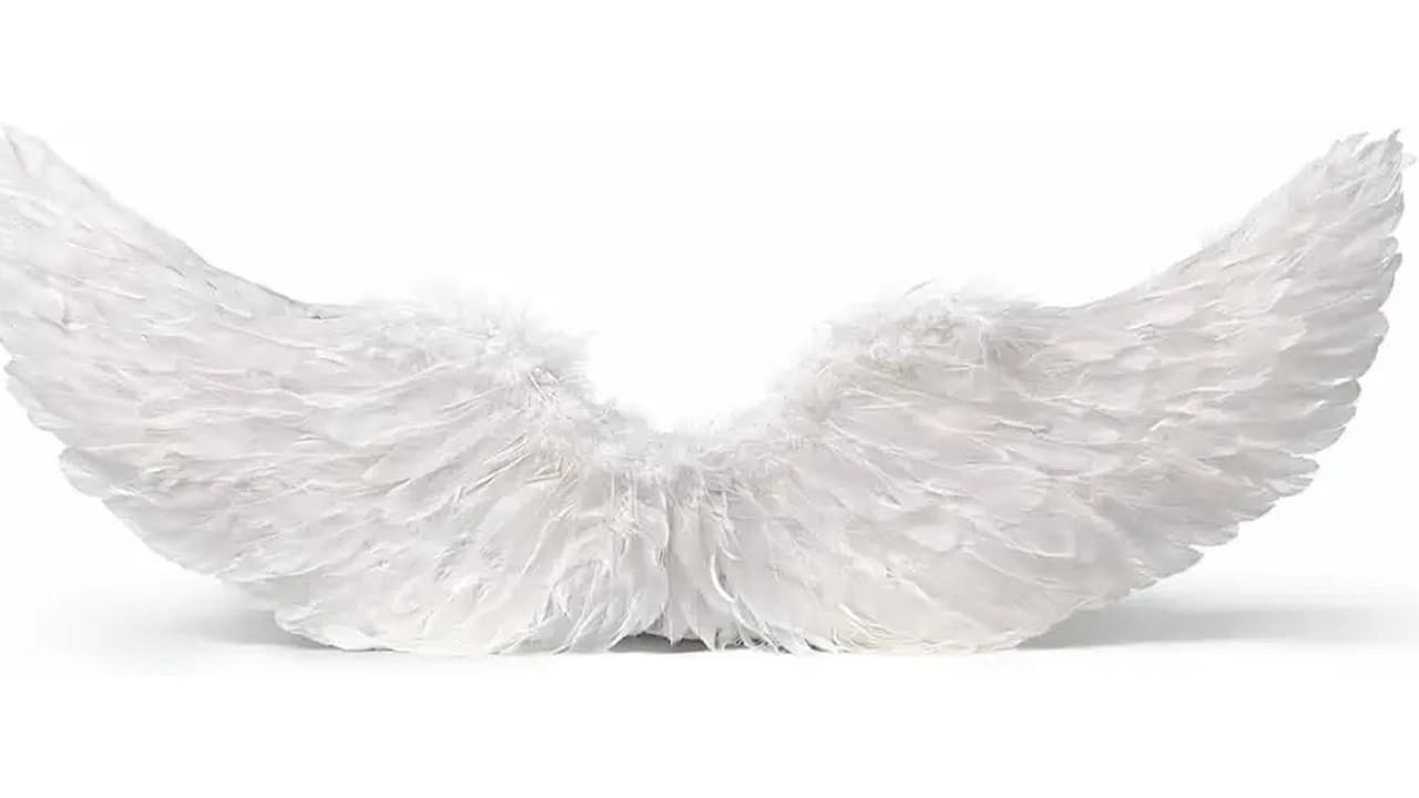 Melhor Asa de Anjo de Penas: Luxo e Realismo para Fantasias