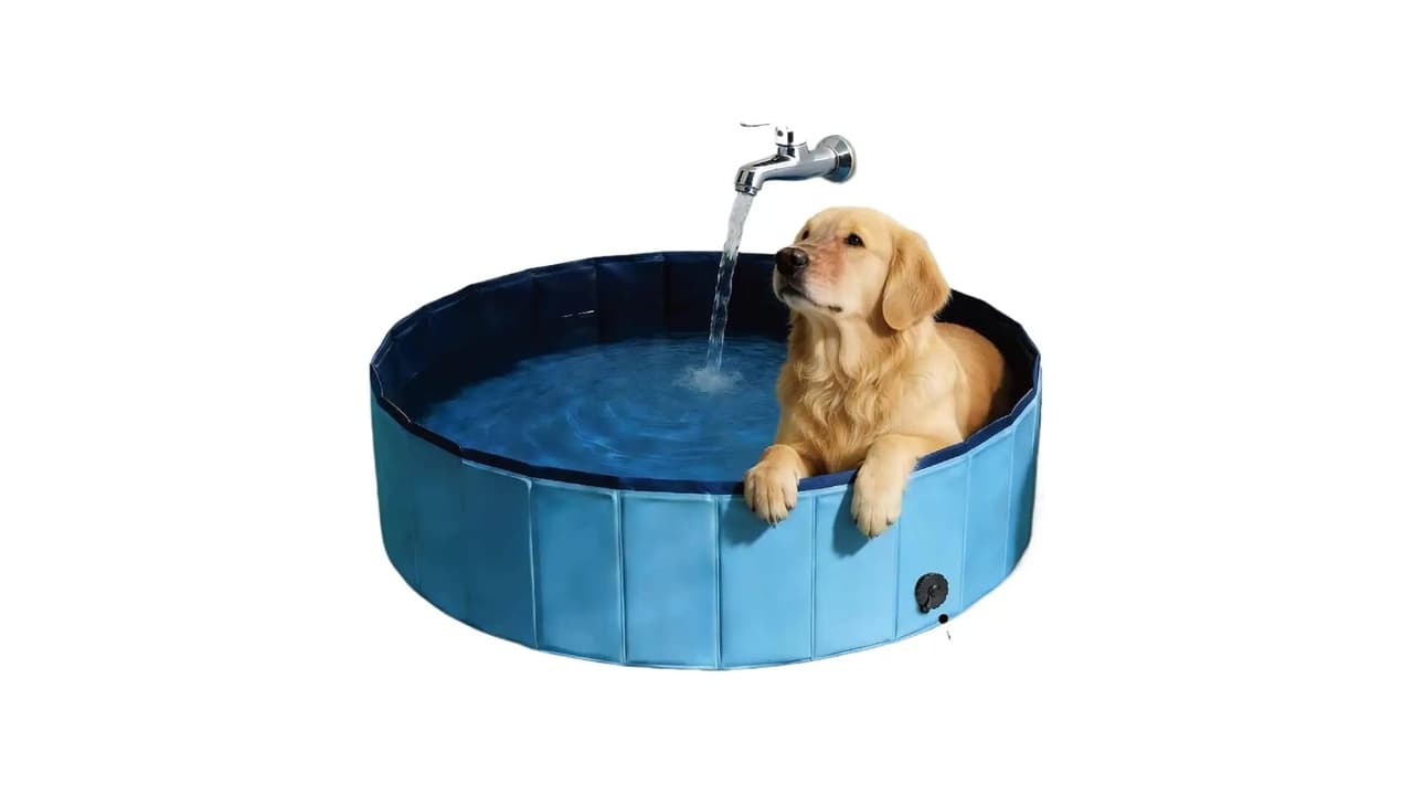 Melhor Banheiro para Cachorro: 12 Opções Práticas e Portáteis