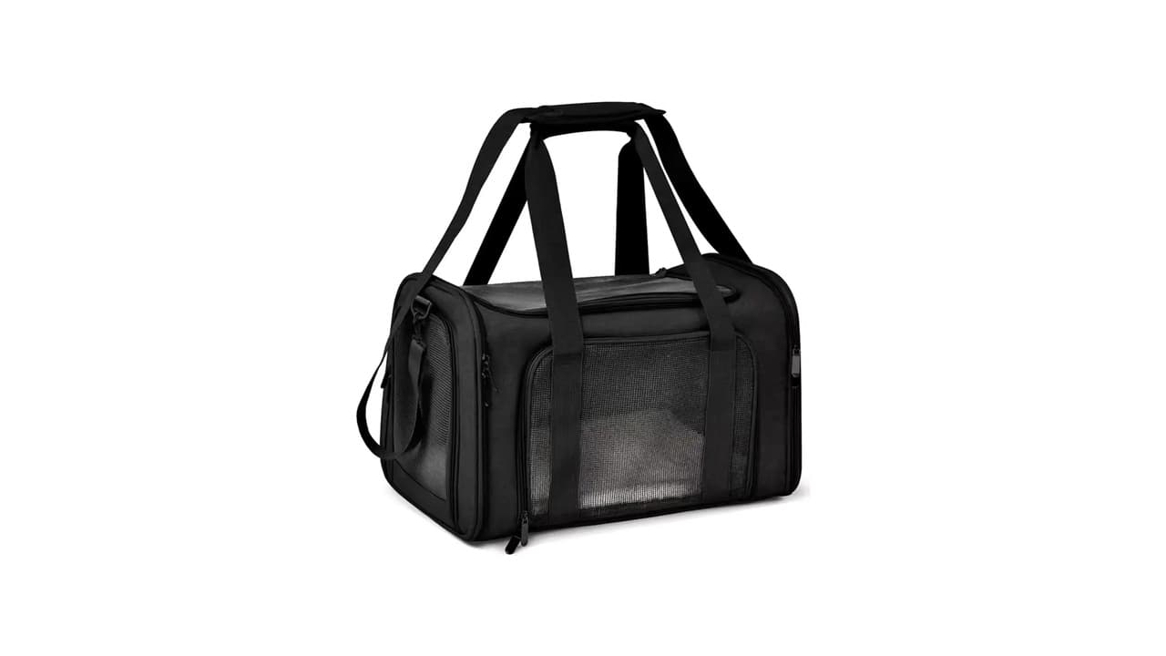 Melhor Bolsa de Transporte para Gatos: Top 10 Modelos