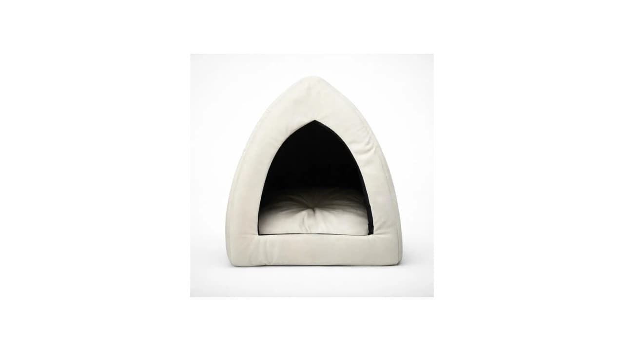 Melhor Cama Pet de Verão: 10 Modelos para Manter Seu Pet Fresco