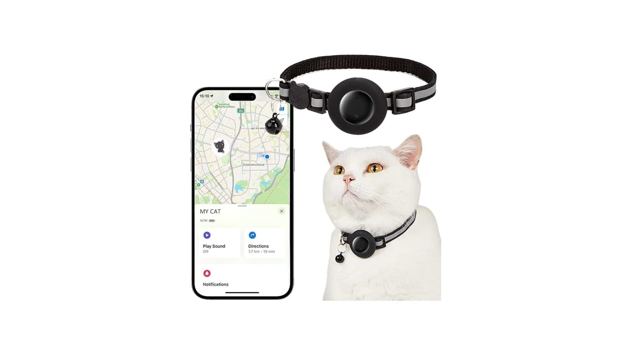Melhor Coleira com GPS para Cachorro e Gato sem Mensalidade: Top 7 Opções sem Taxa Recorrente