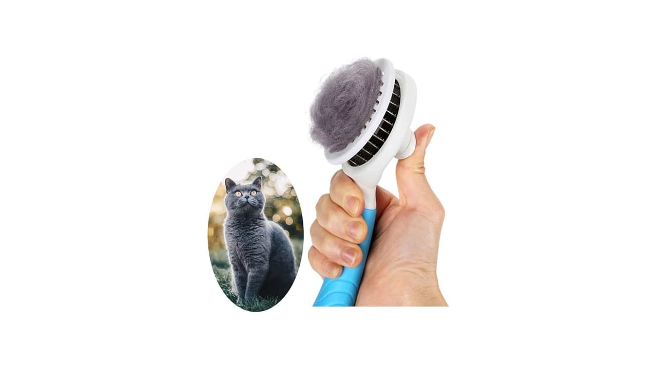 Melhor Escova para Cachorro: Top 10 para Pelagem Saudável