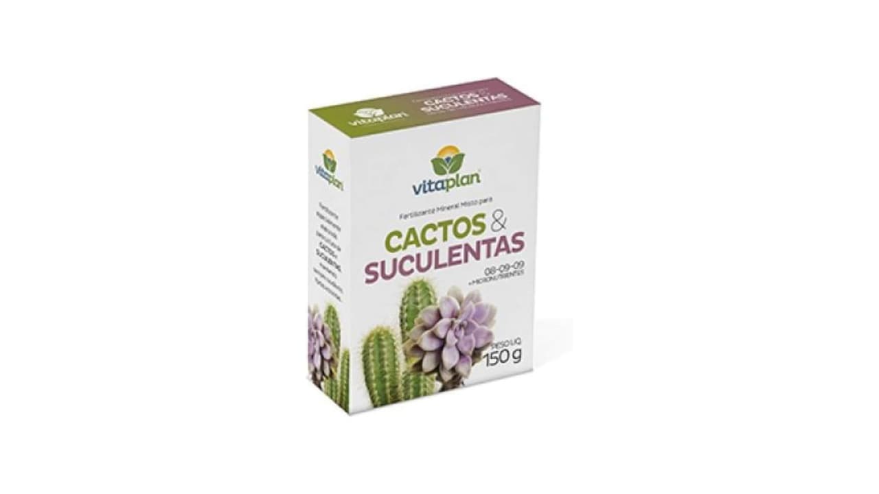 Melhor Fertilizante para Suculentas: Nutrição Perfeita