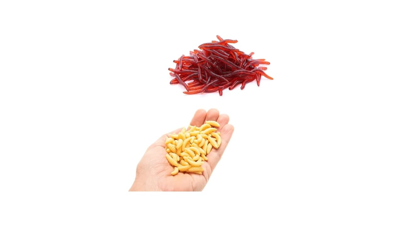 Melhor Isca para Tilápia: 10 Opções que Garantem Mais Peixes!