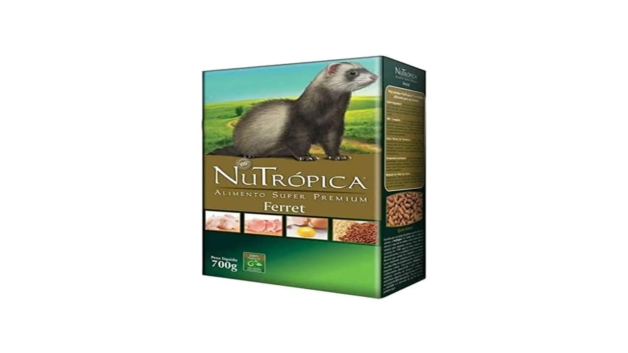 Melhor Ração para Furão: 2 Opções Nutritivas e 100% Seguras
