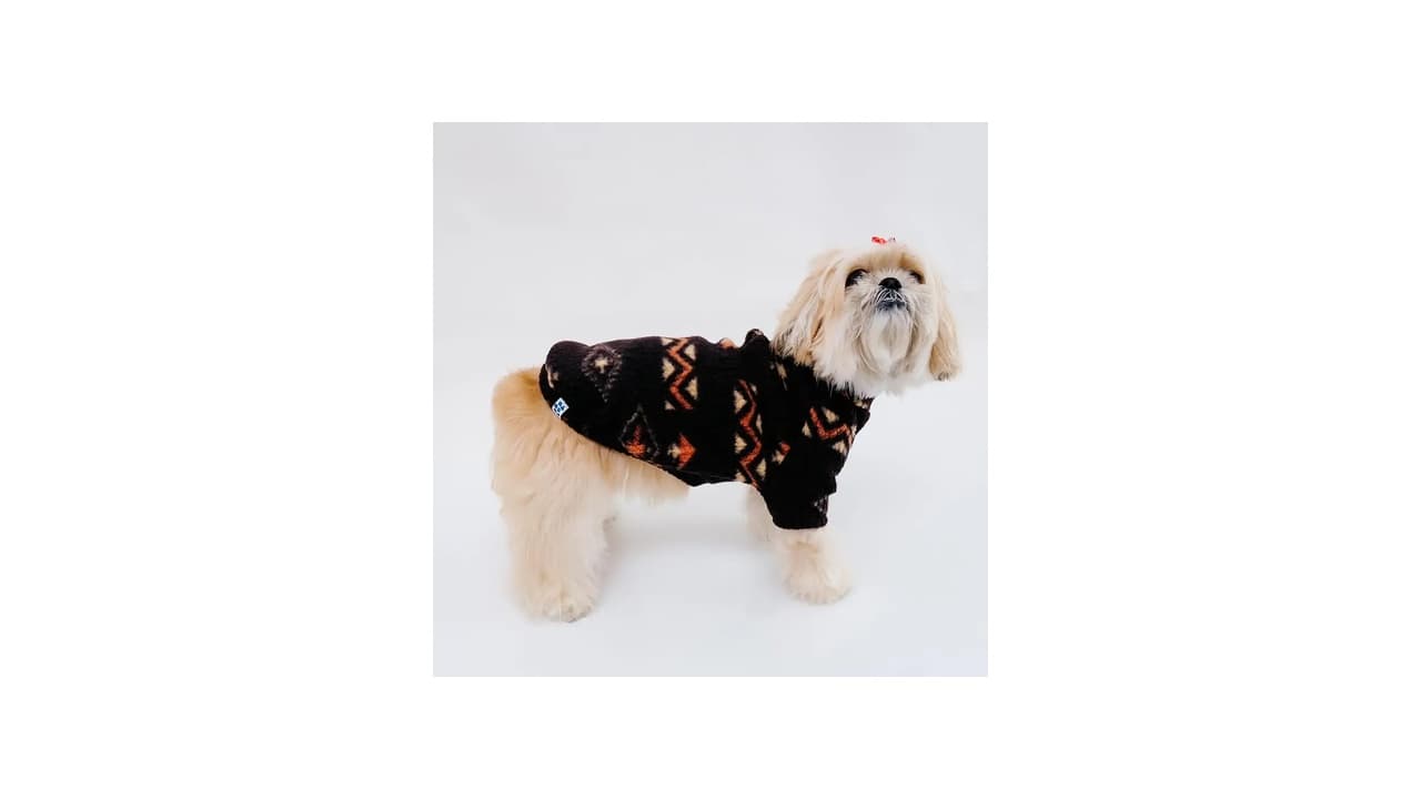 As 8 Melhores Roupas de Inverno para Cachorro de Porte Grande: Conforto e Aquecimento