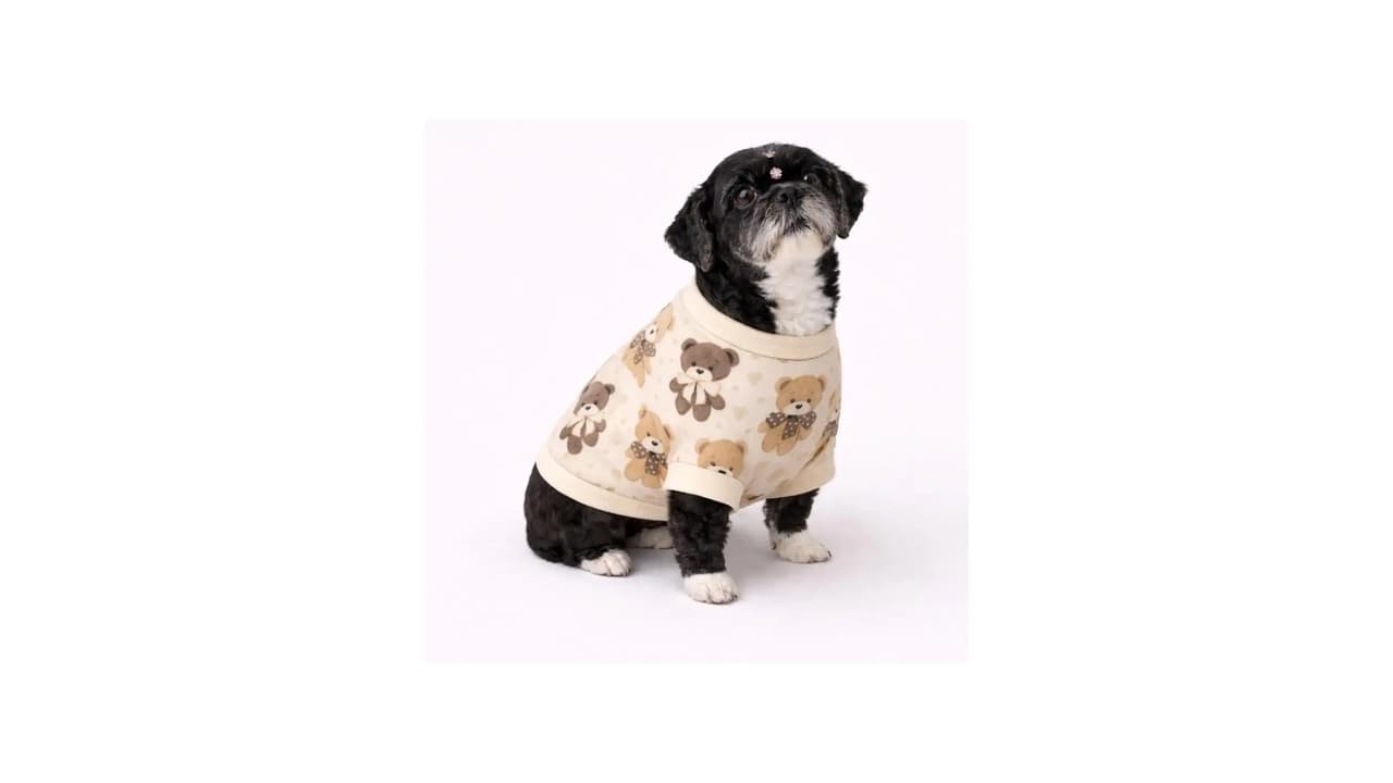 Melhor Roupa de Soft para Cachorro: 10 Modelos Macios e Quentinhos para o Inverno