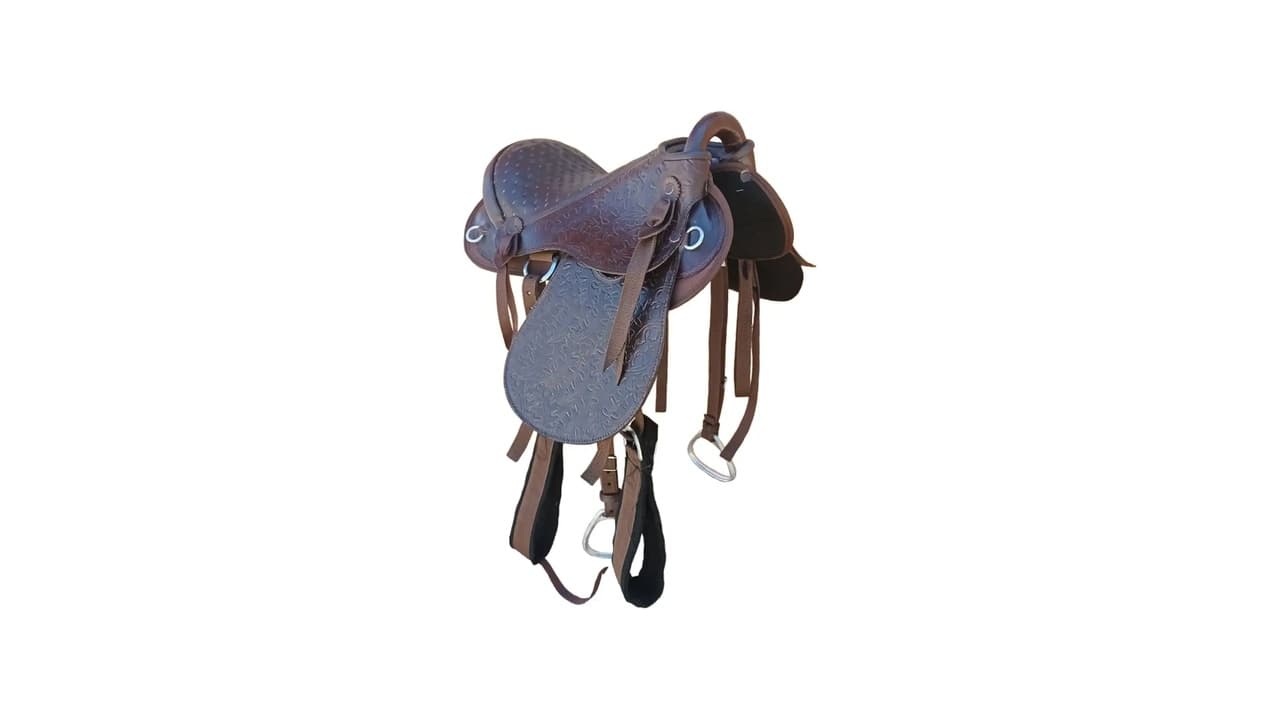 Qual a Melhor Sela para Cavalo Australiana: Guia Definitivo para Montaria