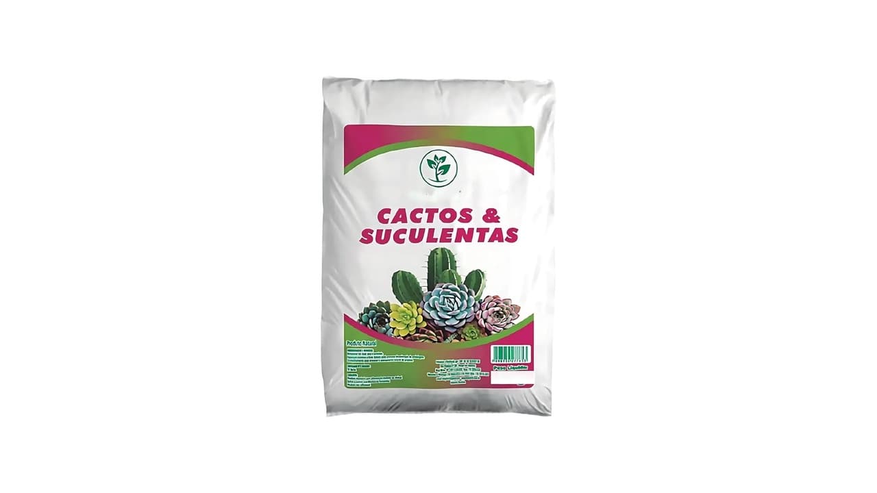 Melhor Terra para Suculentas e Cactos: Drenagem e Nutrientes