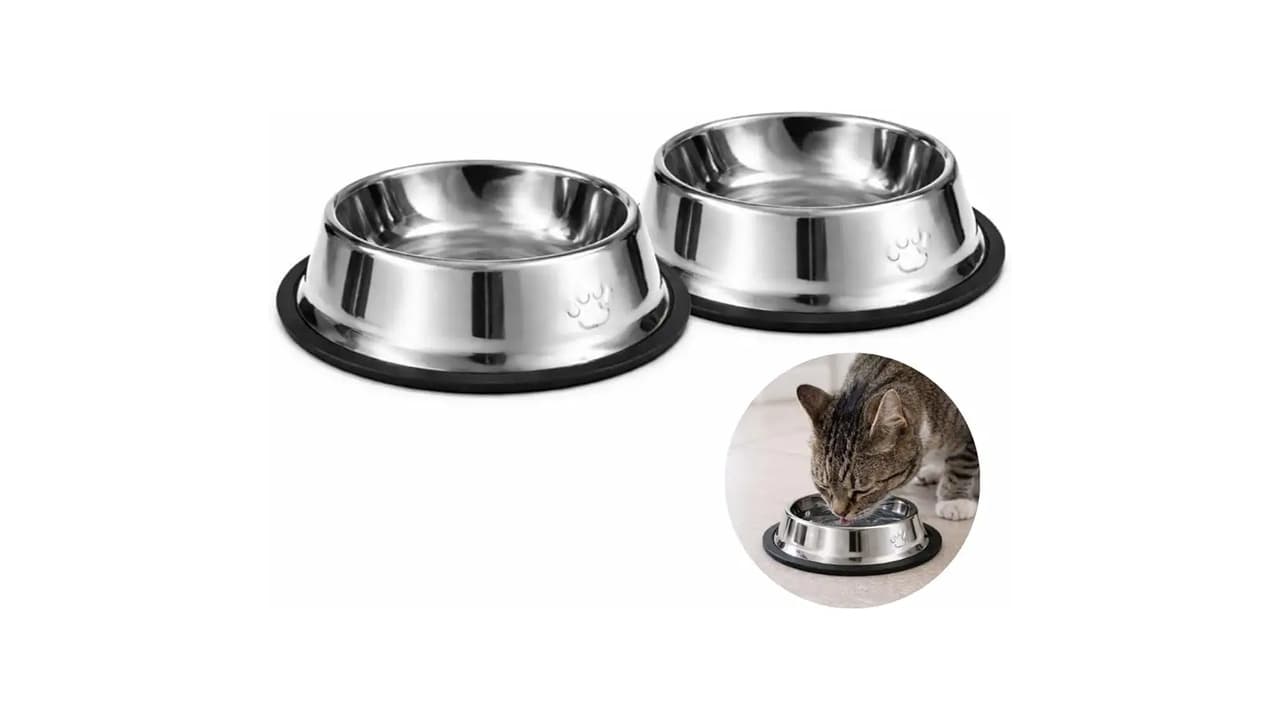 Melhor Vasilha para Cães e Gatos: Guia Completo para Escolher