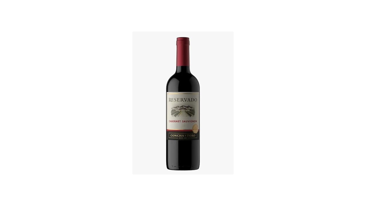 Melhor Vinho Argentino vs Chileno: Guia Definitivo para Escolher