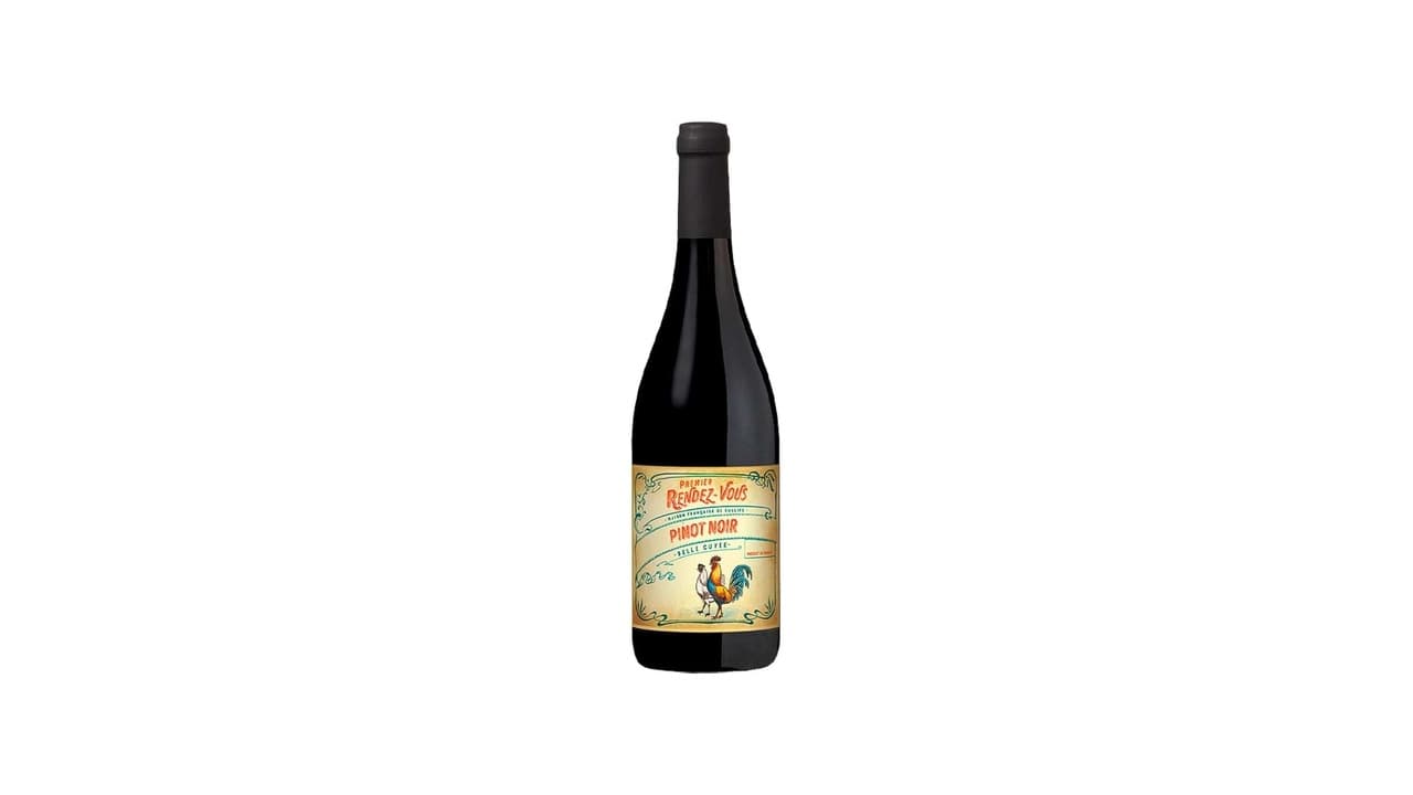 Melhor Vinho Pinot Noir Argentino e Francês: Guia Completo